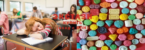 крисы Армянск