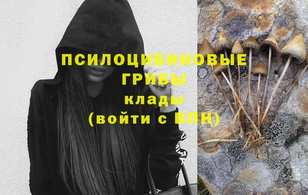 прущие крисы Арсеньев