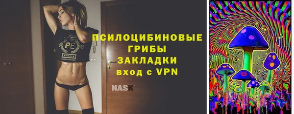 прущие крисы Балахна