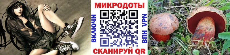 Галлюциногенные грибы ЛСД  Приморск 